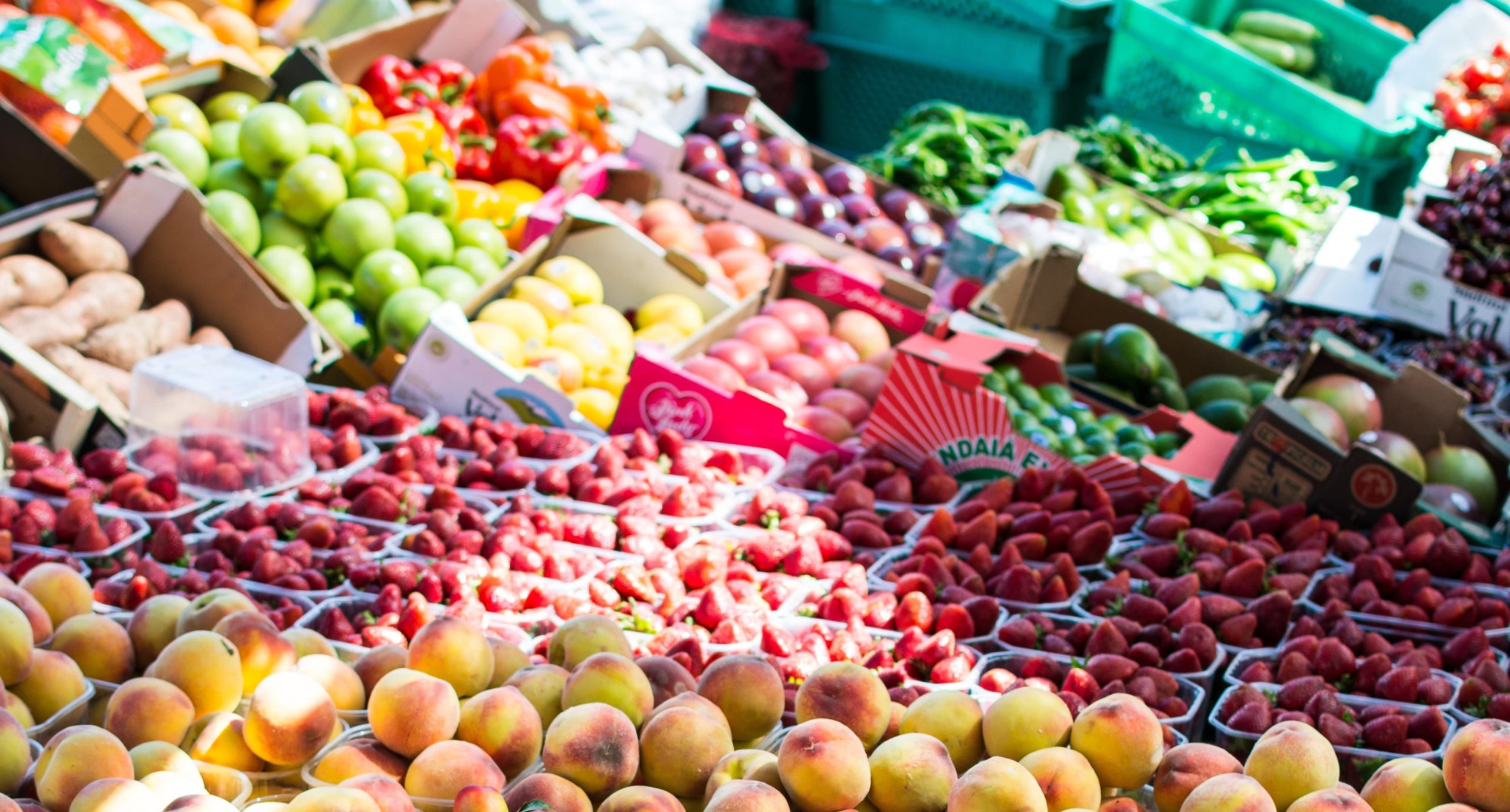 week zonder vlees groenten en fruit